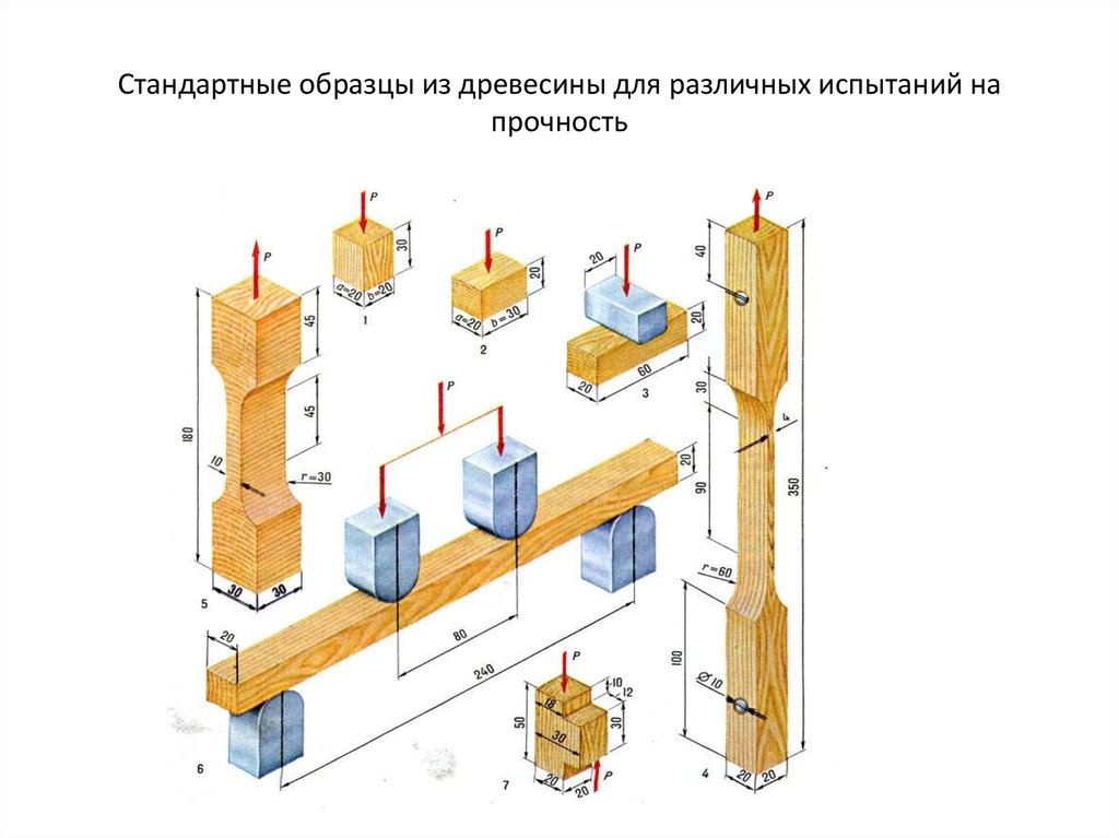 Пример образцов из древесины для различных испытаний